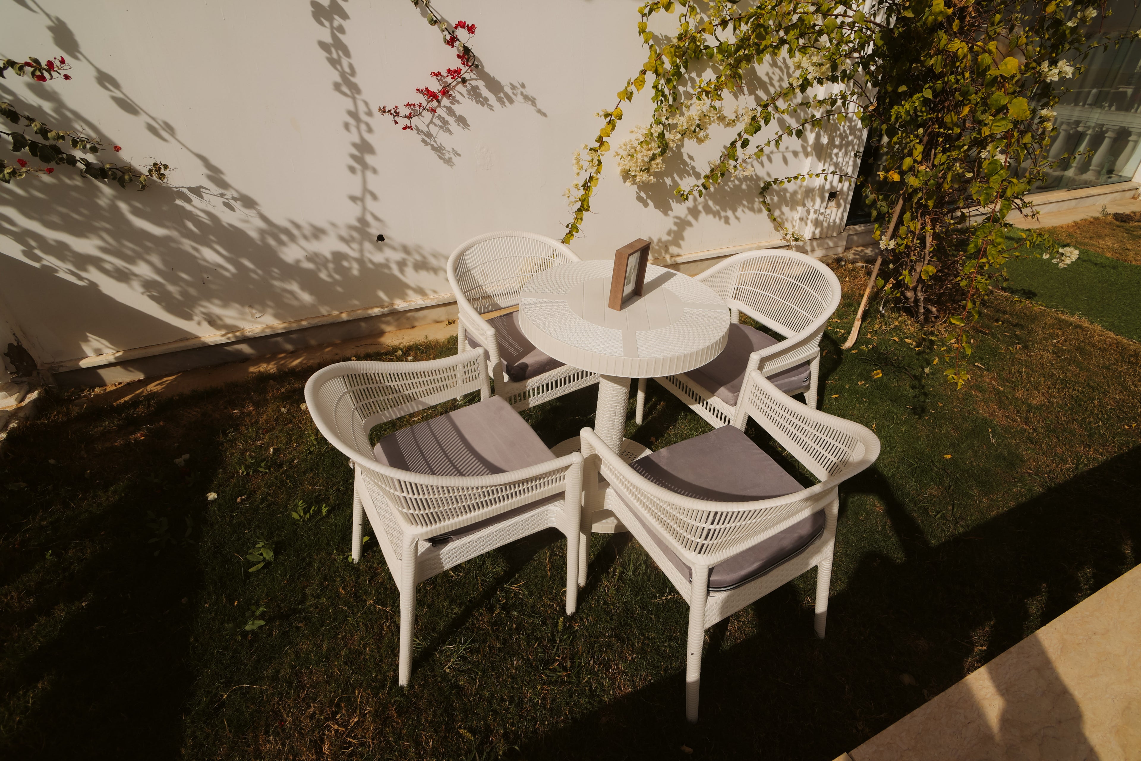 Marsilia Collection