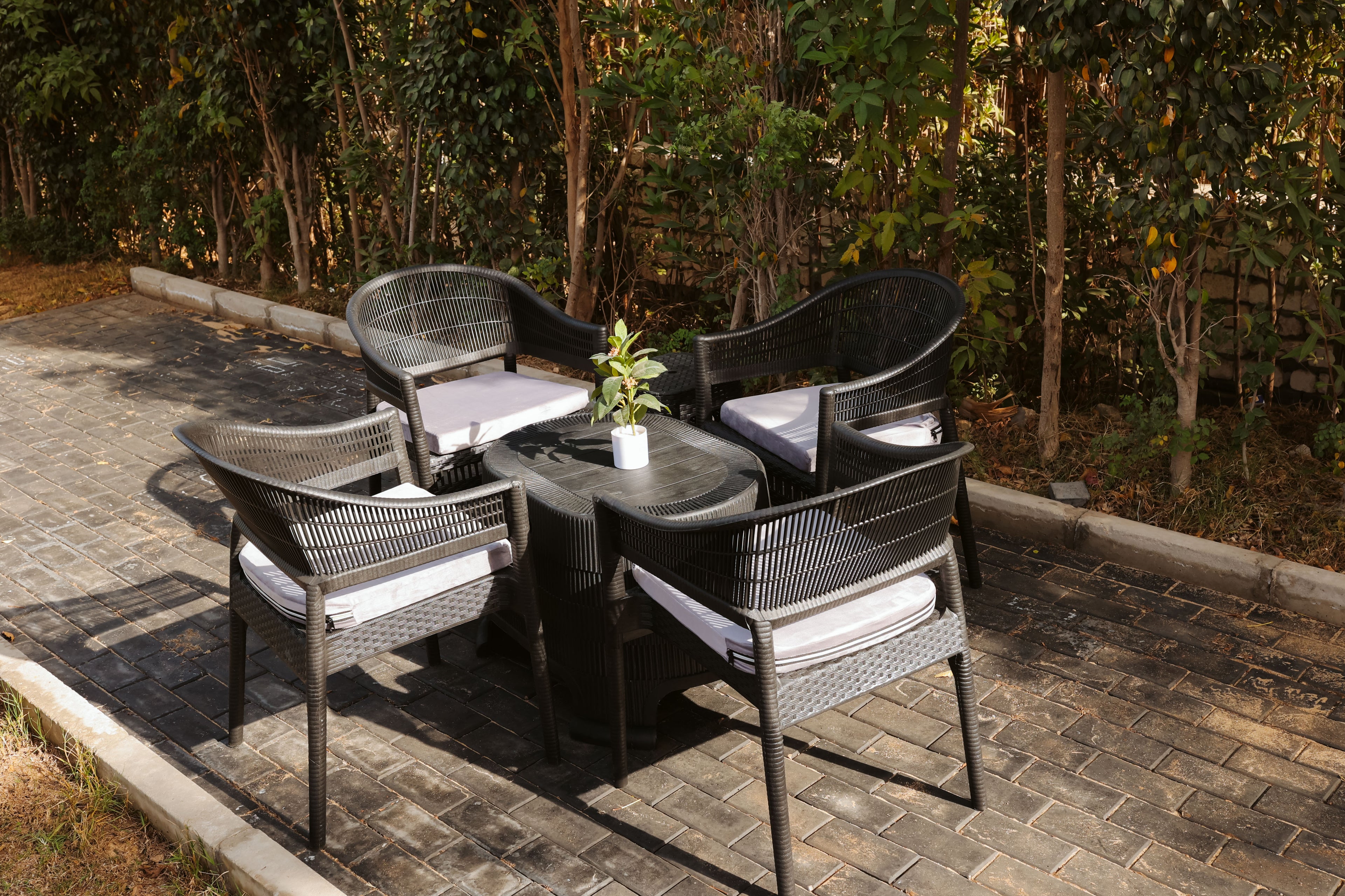 Marsilia Collection