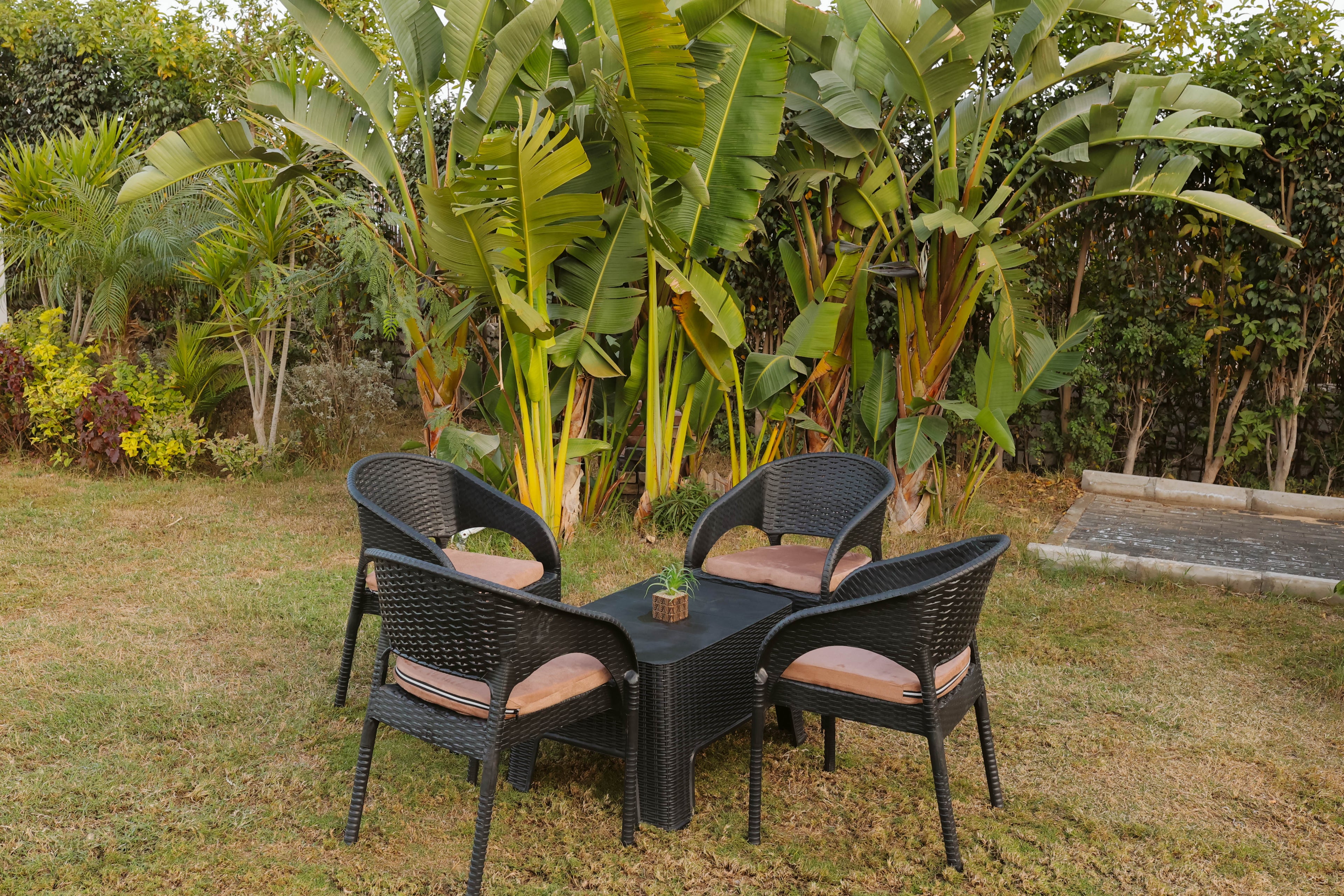 Coridor Collection