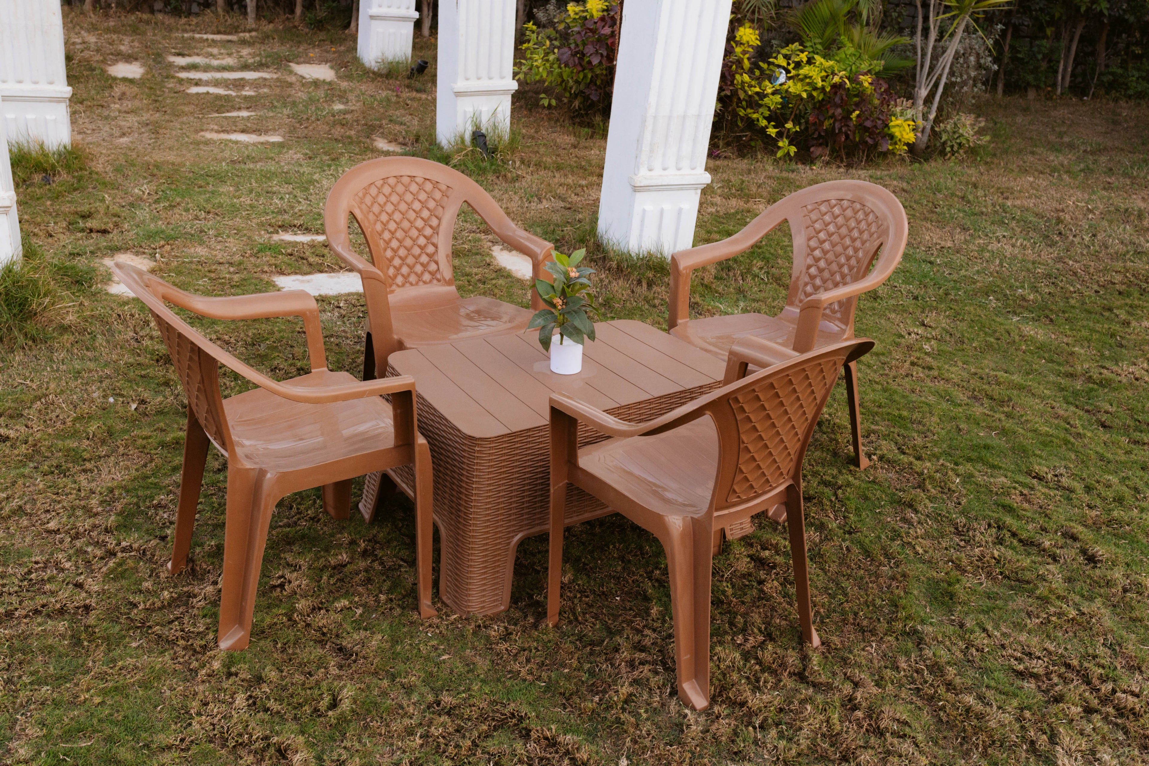 Masaya Collection