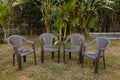 Masaya Collection