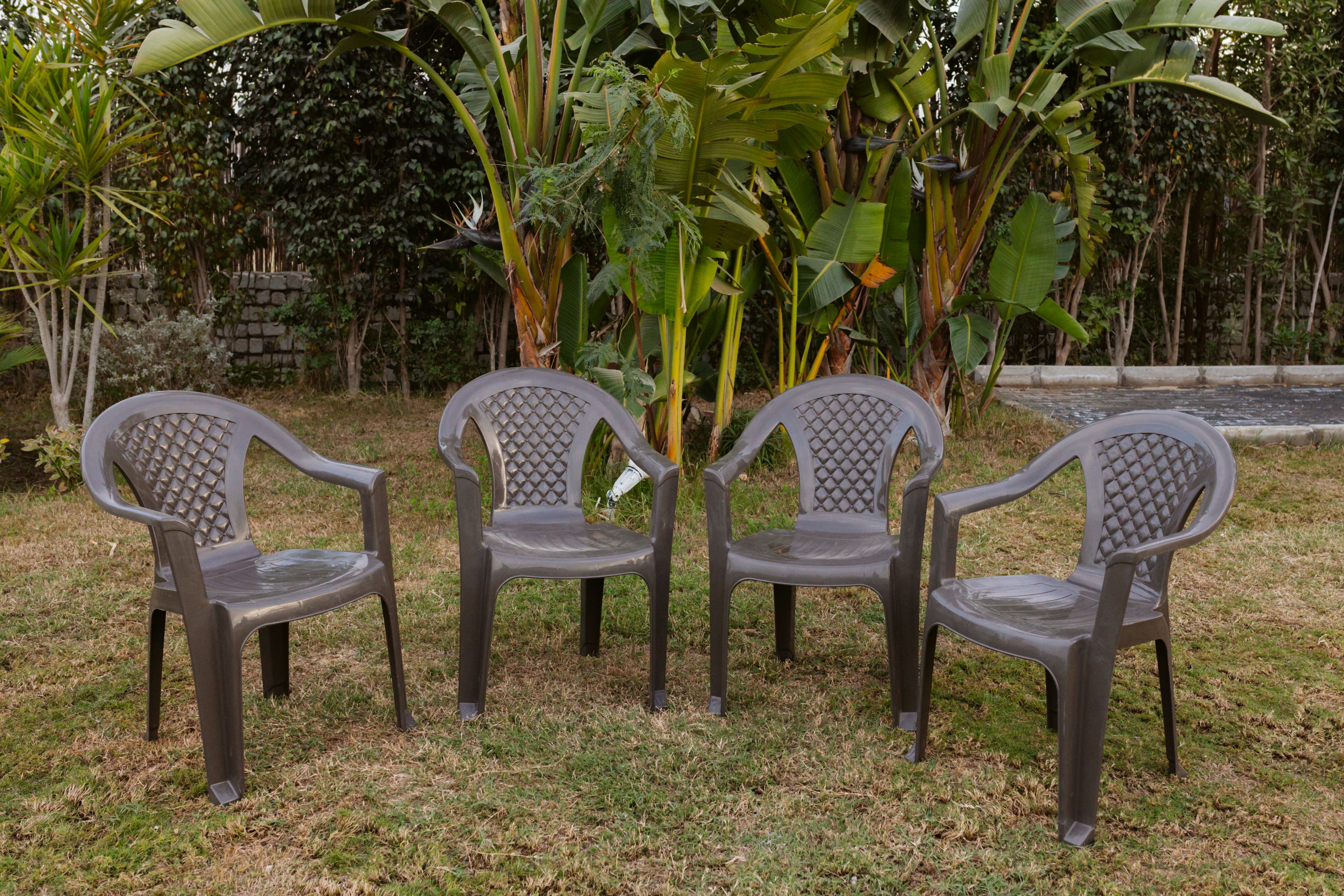 Masaya Collection